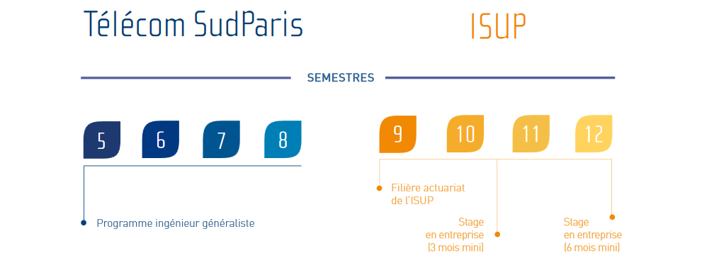 Cursus du double-diplôme d'ingénieur-statisticien