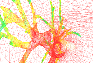 Le maillage graphique d'AirWays, logiciel de la plateforme BioMICA.